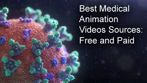 9 of the Best Medical Animation Videos Sources- Free Download for You -  