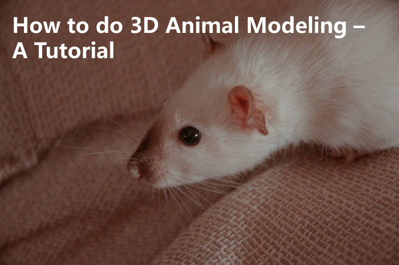 How to do 3D Animal Modeling – A Tutorial 