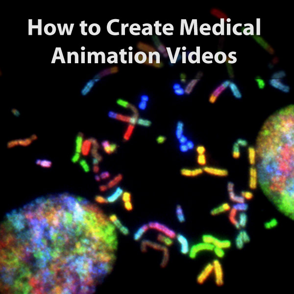 How to Create Medical Animation Videos (in 8 Steps) 