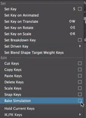 location of bake simulation menu