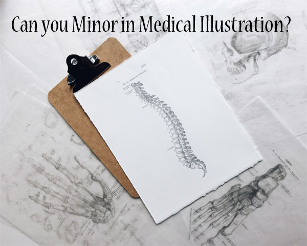 medical illustration of spine