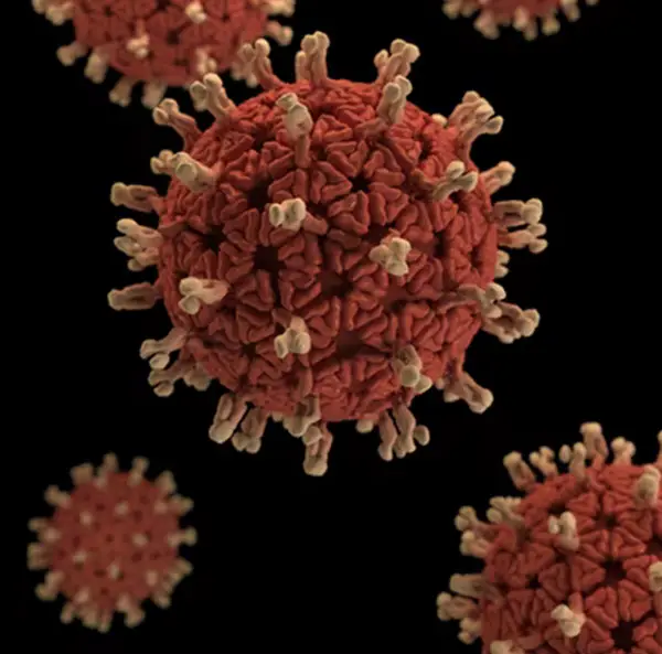 3d rendering of a virus