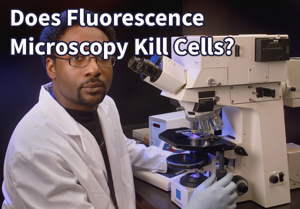 scientist on fluorescence microscope