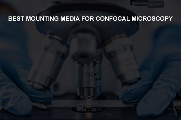 confocal microscope