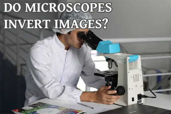 man on microscope