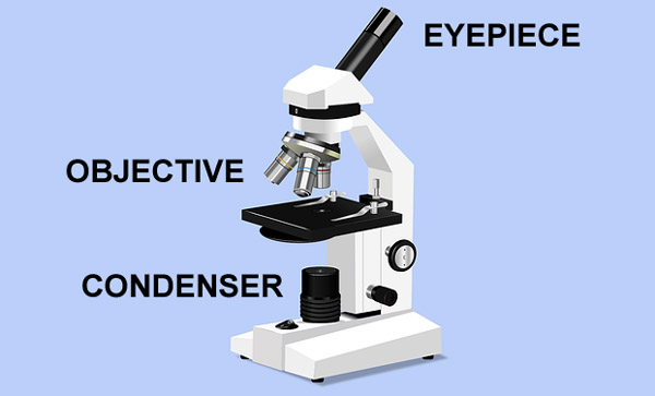 microscope parts