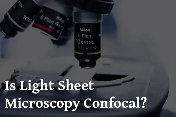 confocal microscope objectives