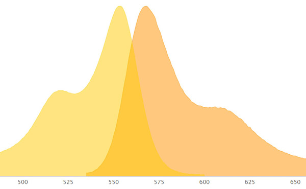 Excitation and emission curves for alexa 555