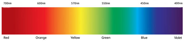 fluorescence spectrum