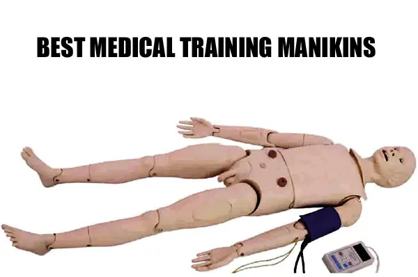 medical training manikin with cuff