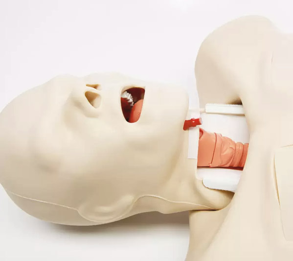 Advanced Trauma Management Manikin