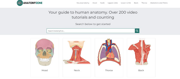 screenshot of anatomy zone