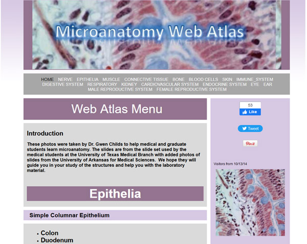 screenshot of microanatomy web atlas
