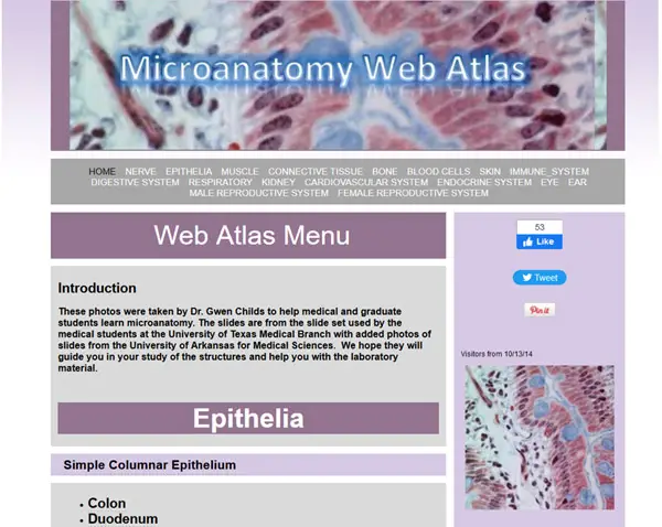 screenshot of microanatomy web atlas