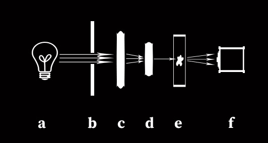 diagram of diaphragm function in microscope