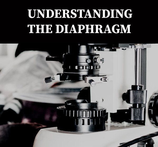 location of diaphragm on microscope
