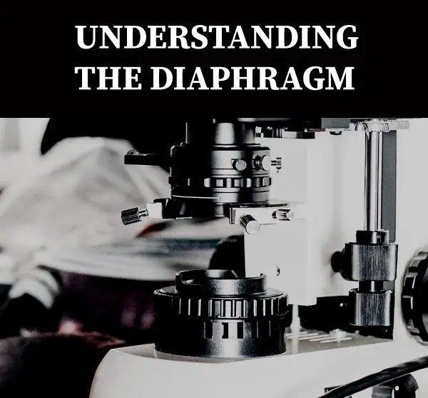 microscope diaphragm iris