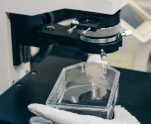 Decoding CLARITY Tissue Clearing - 3DBiology.com