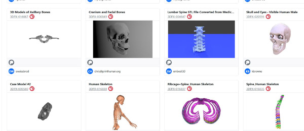screenshot of NIH 3D anatomy collection