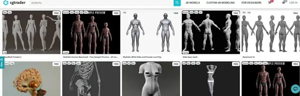 screenshot of cgtrader free anatomy collection