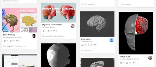screenshot of Grabcad anatomy collection