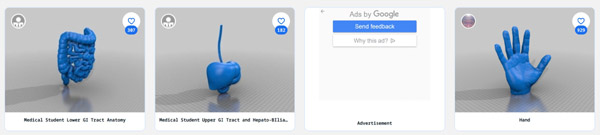 screenshot of thingiverse anatomy collection