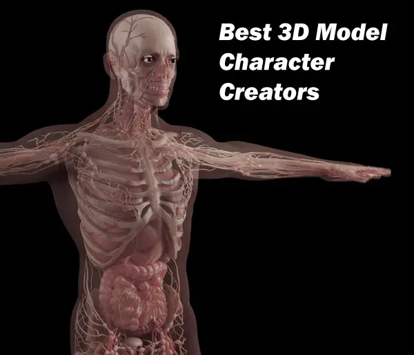 human 3d character model